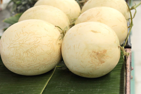 yellow cantaloupe  asia fruit in the market