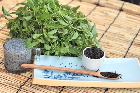 Basil seeds for fiber beverage and raw seedの写真素材