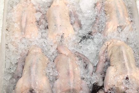Raw fresh duck on iceの写真素材