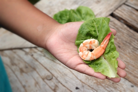 Shrimps with vegetables green leaves on handの写真素材