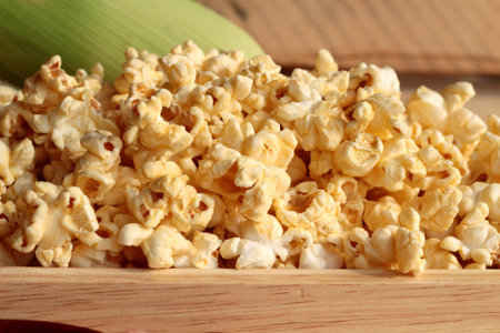 Popcorn and yellow dry corn grain with fresh cornの写真素材