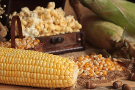 Popcorn and yellow dry corn grain with fresh corn