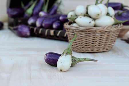 Fresh eggplant purple and white for cookingの写真素材