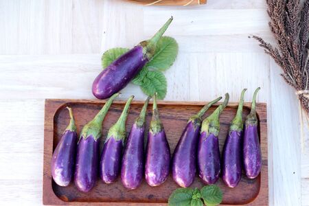 Purple eggplants fresh for cooking on wood backgroundの写真素材