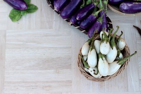 Fresh eggplant purple and white for cookingの写真素材