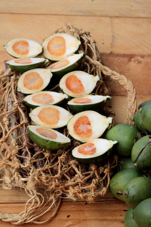 Betel palmの写真素材