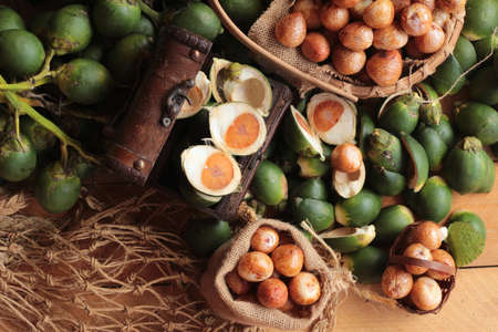 Betel palmの写真素材