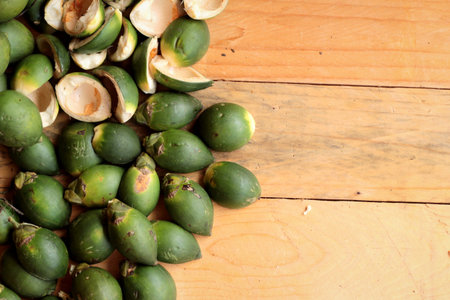 Betel palmの写真素材