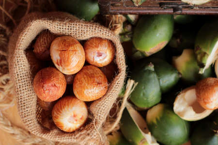 Betel palmの写真素材