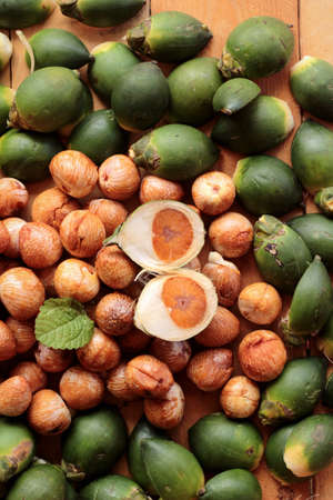 Betel palmの写真素材