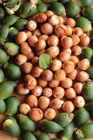 Betel palmの写真素材