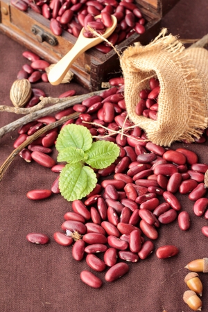 Dried red beans for cookingの写真素材