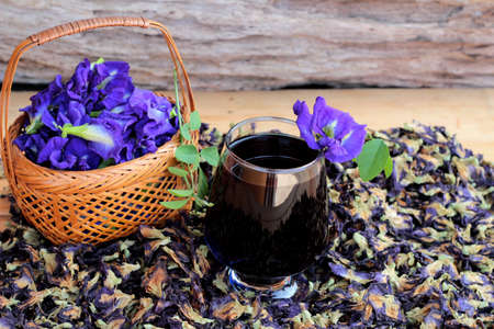 Anchan flowers water and fresh anchan flowers purpleの写真素材