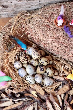 Quail eggs with a smallの写真素材
