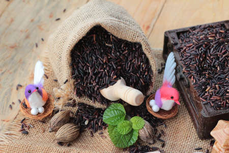 Raw purple rice berries and cooked of delicious for healthの写真素材