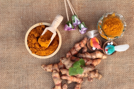 Turmeric herb yellow powder and fresh turmericの写真素材