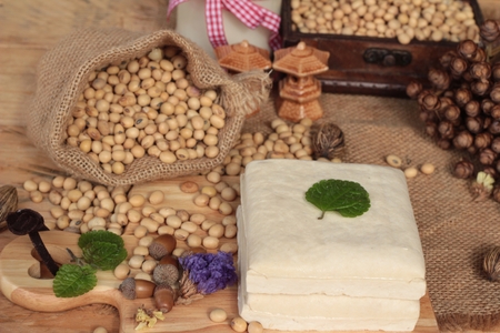Tofu for cooking and soybean seedの写真素材