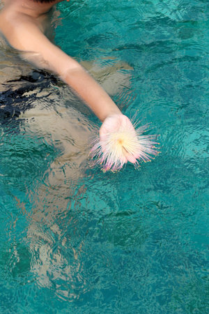flower in hand the boy at swimming pool