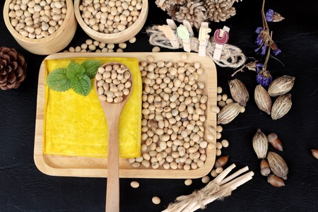 Tofu and soybeans is deliciousの写真素材