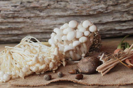 Mushrooms and vegetables on wood backgroundの写真素材