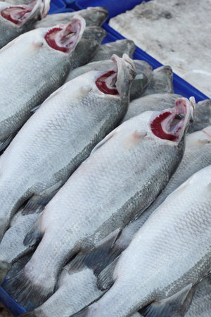Fresh fish for cooking in the market