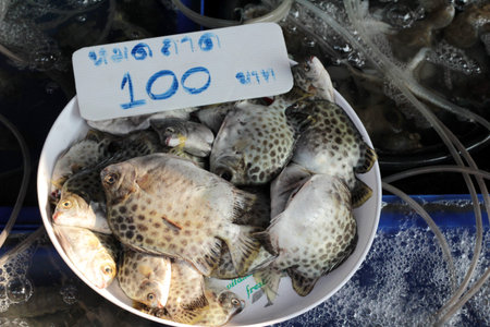 Fresh fish for cooking in the market