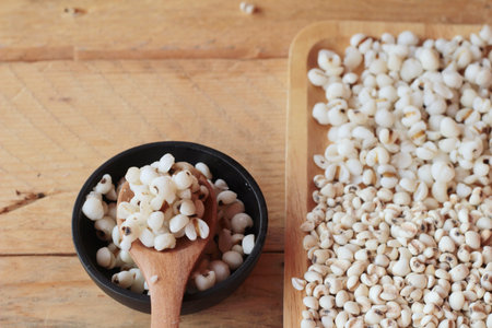 Cooked millet seeds and dried millet seeds