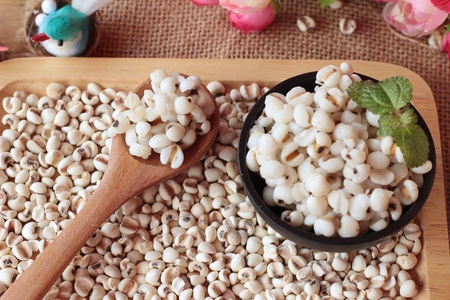 Cooked millet seeds and dried millet seedsの写真素材