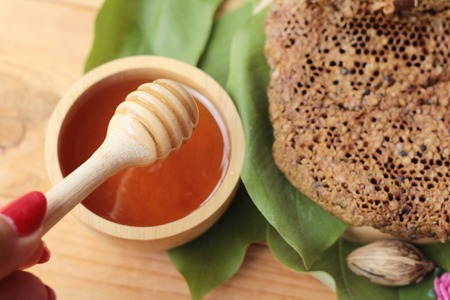 Honey with honeycomb on green leavesの写真素材