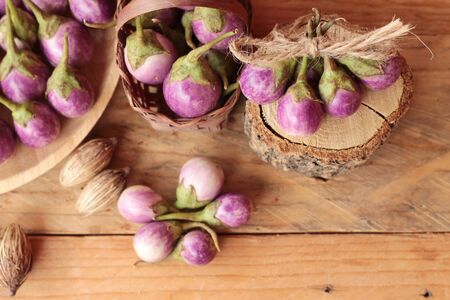 fresh purple eggplant for healthy and deliciousの写真素材
