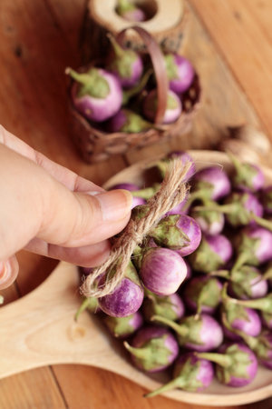 fresh purple eggplant for healthy and delicious