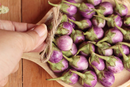 fresh purple eggplant for healthy and delicious