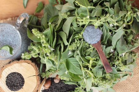 Basil seeds for fiber beverage and raw seed.の写真素材