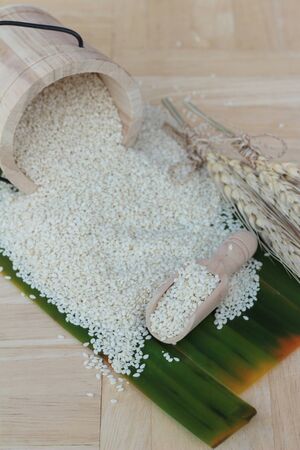 Sesame seeds for health on wood backgroundの写真素材