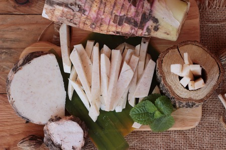 Fresh taro and taro sliced for cookingの写真素材