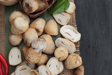 Fresh mushrooms for cooking on wood backgroundの写真素材