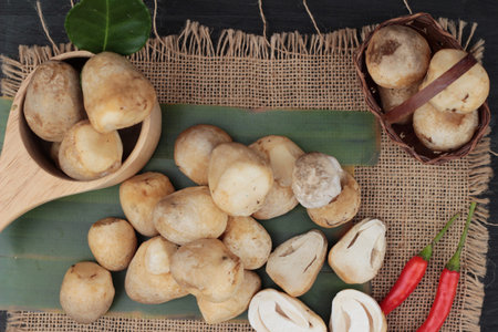 Fresh mushrooms for cooking on wood backgroundの写真素材