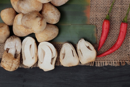 Fresh mushrooms for cooking on wood backgroundの写真素材
