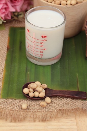 Soy milk is delicious with soybean seedの写真素材