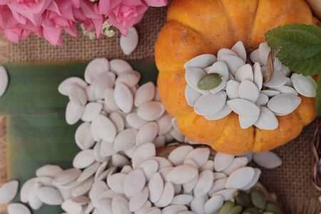 Pumpkin seeds roasted and peeled pumpkin seedsの写真素材