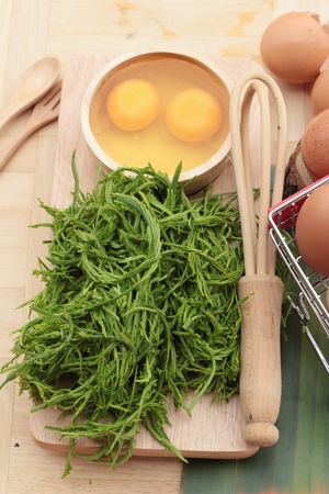 Egg and vegetables acacia pennata for omelet cookingの写真素材