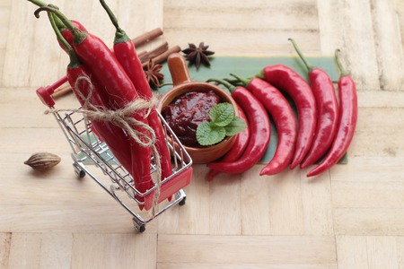 Korean red pepper gochujang for cookingの写真素材