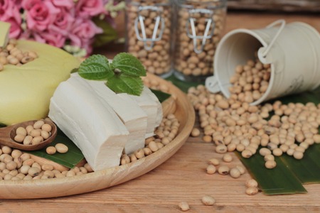 Tofu for cooking and soybean seedの写真素材