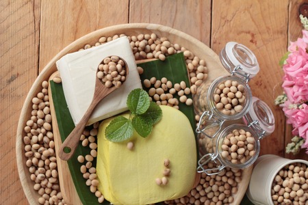 Tofu for cooking and soybean seedの写真素材