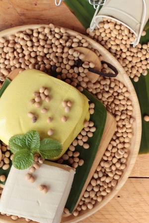 Tofu for cooking and soybean seedの写真素材