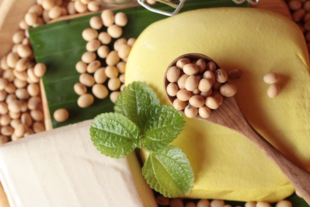 Tofu for cooking and soybean seedの写真素材