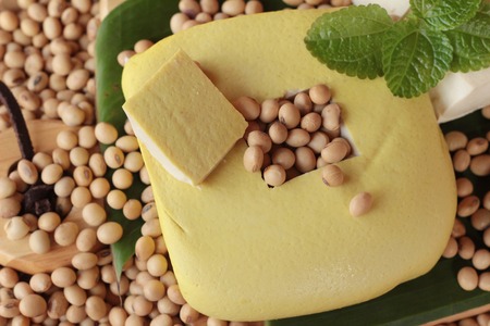 Tofu for cooking and soybean seedの写真素材
