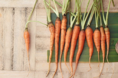 fresh carrot vegetables organic on wood background