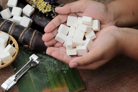 White sugar cubes is organic and caneの写真素材