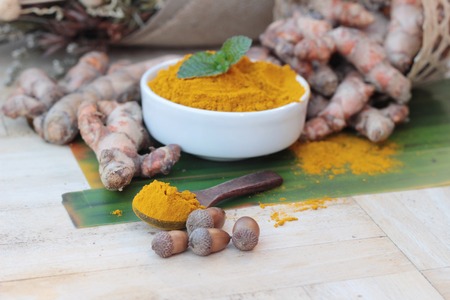 Turmeric powder and fresh root is herbの写真素材